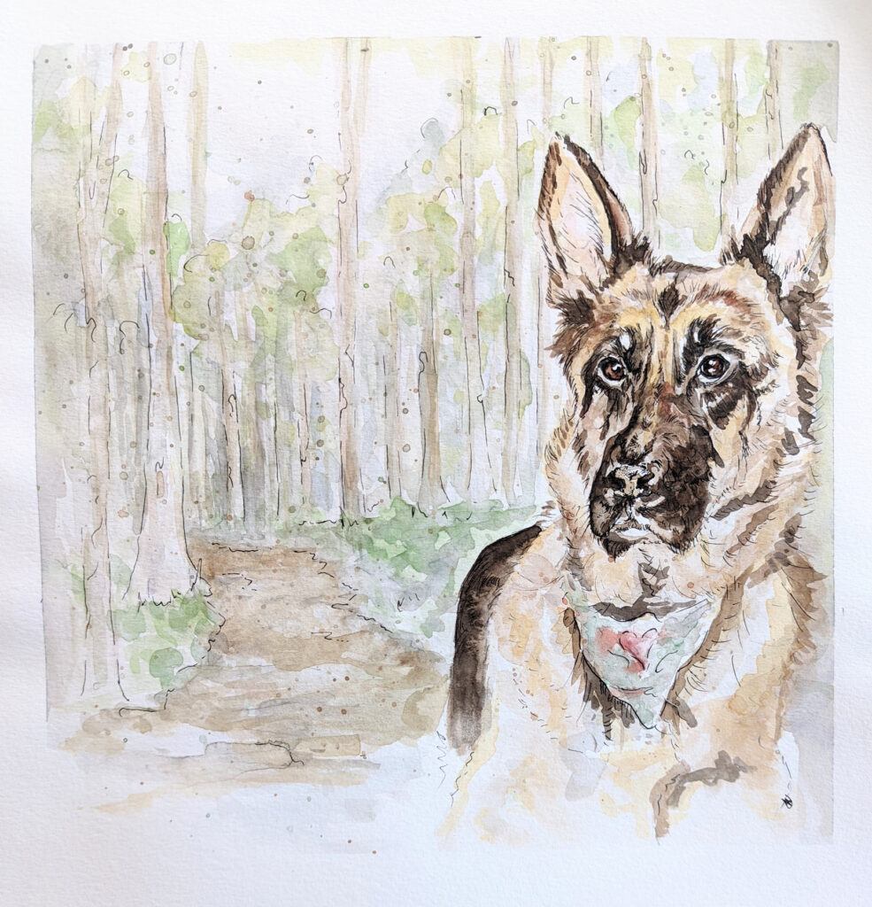 german shepherd watercolor